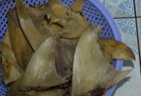 DRIED SHARK FINS