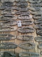 Dried Sea Cucumber