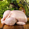 Clean Fresh Frozen Halal Whole Chicken Grillers, Frozen Chicken Thighs, Chicken Drumsticks.