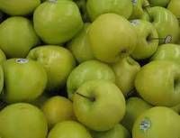 Green Delicious Apples