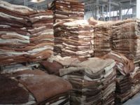Dry and Wet Salted Donkey Hides
