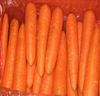 FRESH FARM CARROTS FOR SALE