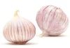 Fresh Single Clove Garlic