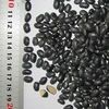 High Quality Black Kidney Bean Available Now 2014 Crop Year (6723)