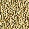 Red Lentils ( Whole And Split Available)