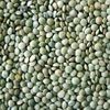 Green Lentils HPS Quality Dry Green / Red Lentils