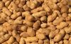 Organic Shelled Peanuts for sale