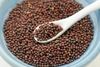 Hight Quality Mustard Seeds