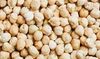 High Quality Kabuli White Chickpeas