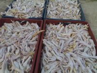 High quality frozen chicken feet export