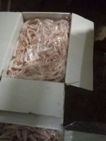 Frozen Chicken Feet/ Chicken Paws for Sale on Low Price