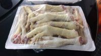 Halal Brazilan Frozen Whole Chicken / Chicken Feet / Wings and Other Parts..