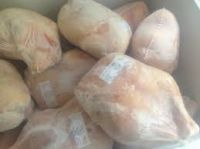 Frozen Chicken Feet, Paws, Breast, Whole Chicken, Legs and Wings Cheap Prices
