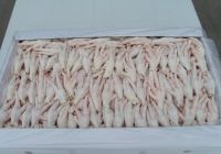 Grade A Processed Frozen Chicken Feet for sale. / Frozen Chicken Feet/Paws