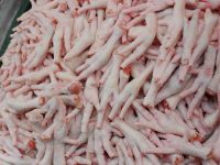 Processed Frozen Chicken Feet and Paws Grade A 