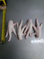 chicken feet y paws