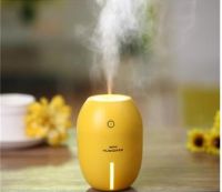 Lemon Humidifier