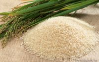 Long or Short Grain White Rice, KDM ( Homali Rice), Jasmine Rice, Japonica ( Round Rice), Long Grain Parboiled Rice