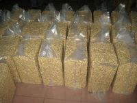 100% raw cashew nuts for sale