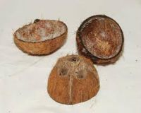 coconut shell chipscoconut shell chips