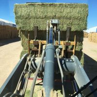 High Protein  Hay For Animal Feeds