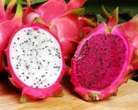 Vietnam Fresh Dragon Fruit - White and Red Flesh - Natural Sweet