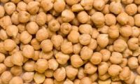 Chickpeas Grade A Hot Sales