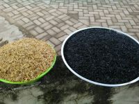 charcoal  rice husk (Arang sekam padi)