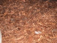 copper wire scrap