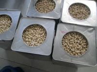 Cashew Nuts Kernels