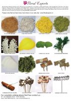 Dried Grass - Leaves and fillers