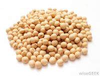 soyabean /soyabean meal