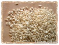 White Sesame Seed