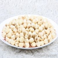 dried lotus seed