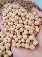 Chickpeas