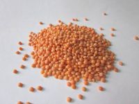 Red Split Lentils