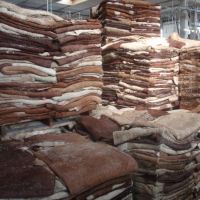  Dry and Wet Salted Donkey / Wet Cow Hides