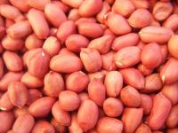 Red Skin Peanut Kernels