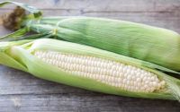 White Corn