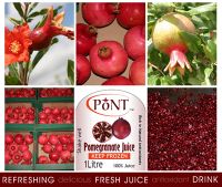 Pont Pure Pomegranate Juice