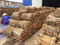 Vietnam Split Cassia (Cinnamon) from Big Factory