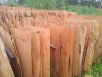 High quality cheap price acacia / eucalyptus core veneer from Vietnam