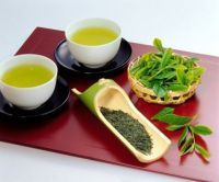 Tan Cuong specialty tea - Thai Nguyen