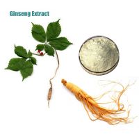 Food Price List Good Quality Panax Ginseng Leaves Extract