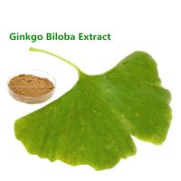 Water soluble ginkgo biloba leaf extract