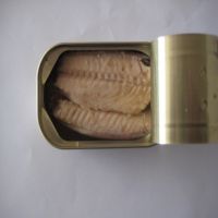Canned Mackerel Fillet in club can