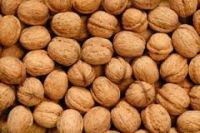 wholesale Common Walnut, 