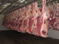 Frozen Mutton, Lamb, Sheep Meat, goat, beef, buffalo, cow, chicken, calf
