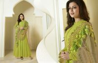 Thankar Flared Green Anarkali Suit