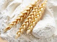 Wheat flour